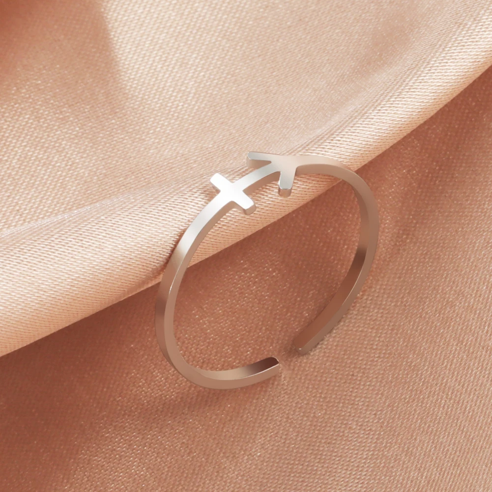 Stainless Steel Zodiac Rings 12 Constellations Open Ring for Women Aries Leo Virgo Gemini Libra Pisces Scorpio Birthday Gifts – Image 18