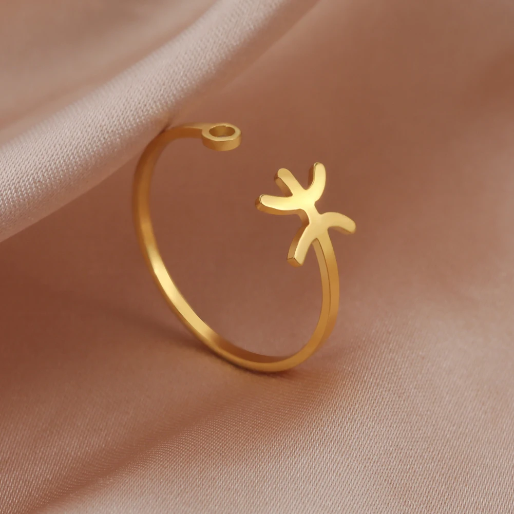 Stainless Steel Zodiac Rings 12 Constellations Open Ring for Women Aries Leo Virgo Gemini Libra Pisces Scorpio Birthday Gifts – Image 33